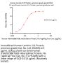 Human Laminin 111 Protein, premium grade