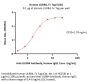 Human LILRB4 / CD85k / ILT3 Protein, Fc Tag (MALS verified)