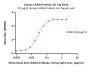 Human LILRA4 / CD85g / ILT7 Protein, His Tag
