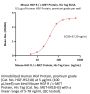 Mouse HGF R / c-MET Protein, His Tag (MALS verified)