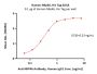 Human NKp46 / NCR1 / CD335 Protein, His Tag