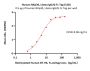Human NKp30 / NCR3 / CD337 Protein, Llama IgG2b Fc Tag, low endotoxin