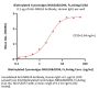Biotinylated Cynomolgus NKG2A&CD94 Protein, Fc,Avitag™ (MALS verified)