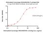 Biotinylated Cynomolgus NKG2A&CD94 Protein, Fc,Avitag™ (MALS verified)
