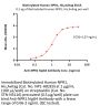 Biotinylated Human NPR1 / NPRA Protein, His,Avitag™ (MALS verified)