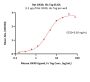 Rat OX40 / TNFRSF4 / CD134 Protein, His Tag (MALS verified)