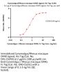 Cynomolgus / Rhesus macaque OX40 Ligand Protein, His Tag, active trimer (MALS verified)