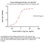 Human OX40 Ligand / TNFSF4 Protein, His Tag, active trimer (MALS verified)