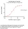 Rat OX40 Ligand / TNFSF4 Protein, His Tag (active trimer) (MALS verified)