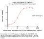 Rabbit OX40 Ligand / TNFSF4 Protein, His Tag (active trimer) (MALS verified)