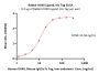Rabbit OX40 Ligand / TNFSF4 Protein, His Tag (active trimer) (MALS verified)