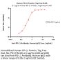 Human PD-L1 / B7-H1 Protein, Tag Free (MALS verified)