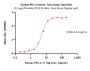 Human PD-1 / PDCD1 Protein, Twin-Strep Tag (MALS verified)