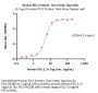 Human PD-1 / PDCD1 Protein, Twin-Strep Tag (MALS verified)