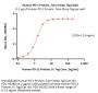 Human PD-1 / PDCD1 Protein, Twin-Strep Tag (MALS verified)