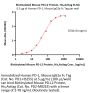 Biotinylated Mouse PD-L2 / B7-DC Protein, His,Avitag™ (MALS verified)