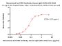 Monoclonal Anti-PEG Antibody, Human IgG1 (5G3-1C6)
