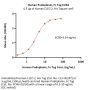 Human Podoplanin / PDPN Protein, Fc Tag (MALS verified)