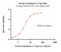 Human Podoplanin / PDPN Protein, Fc Tag (MALS verified)