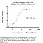 Human Podoplanin / PDPN Protein, Fc Tag (MALS verified)