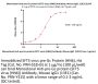 Monoclonal Anti-pre-Gc protein (SFTS virus (HN6)) Antibody, Mouse IgG1 (13E1)