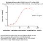 Biotinylated Cynomolgus PSMA / FOLH1 Protein, His,Avitag™ (MALS verified)