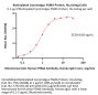 Biotinylated Cynomolgus PSMA / FOLH1 Protein, His,Avitag™ (MALS verified)