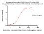 Biotinylated Cynomolgus PSMA / FOLH1 Protein, His,Avitag™ (MALS verified)