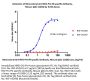 Monoclonal Anti-RSV-Pre-F0 specific Antibody, Mouse IgG1 (12C6) (HPLC verified)