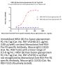 Monoclonal Anti-RSV-Pre-F0 specific Antibody, Mouse IgG1 (12C6) (HPLC verified)