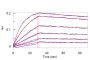 Biotinylated Anti-SARS-CoV-2 Spike RBD Neutralizing Antibody, Chimeric mAb, Human IgG1 (AM122) (MALS verified)