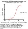 Anti-SARS-CoV-2 Spike S2 Antibody, Human IgG4 (AS86)