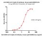 Anti-SARS-CoV-2 Spike S2 Antibody, Human IgG4 (AS86)