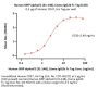 Human SIRP alphaV2 / CD172a (31-148) Protein, Llama IgG2b Fc Tag, low endotoxin (MALS verified)