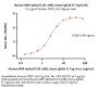 Human SIRP alphaV2 / CD172a (31-148) Protein, Llama IgG2b Fc Tag, low endotoxin (MALS verified)