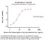 Rat SIRP alpha / CD172a Protein, Fc Tag (MALS verified)