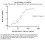 Rat SIRP alpha / CD172a Protein, Fc Tag (MALS verified)