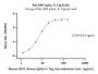 Rat SIRP alpha / CD172a Protein, Fc Tag (MALS verified)