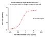 Human SMO Full Length Protein (VLP)