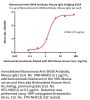 Monoclonal Anti-SN38 Antibody, Mouse IgG1