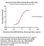 Monoclonal Anti-SN38 Antibody, Mouse IgG1