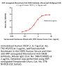 HRP conjugated Monoclonal Anti-SN38 Antibody, Mouse IgG1