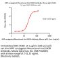 HRP conjugated Monoclonal Anti-SN38 Antibody, Mouse IgG1