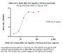 SARS-CoV-2 Spike RBD Protein, His Tag (BA.2.75/Omicron) (MALS verified)