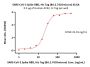 SARS-CoV-2 Spike RBD Protein, His Tag (BA.2.74/Omicron) (MALS verified)