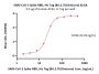 SARS-CoV-2 Spike RBD Protein, His Tag (BA.2.76/Omicron) (MALS verified)