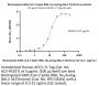 Biotinylated SARS-CoV-2 Spike RBD Protein, His,Avitag™ (BA.2.76/Omicron) (MALS verified)