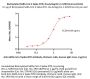 Biotinylated SARS-CoV-2 Spike NTD Protein, His,Avitag™ (B.1.1.529/Omicron) (MALS verified)
