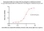 Biotinylated SARS-CoV-2 Spike NTD Protein, His,Avitag™ (B.1.1.529/Omicron) (MALS verified)