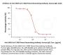 Anti-SARS-CoV-2 RBD Potent Neutralizing Antibody, Human IgG1 (AM180)